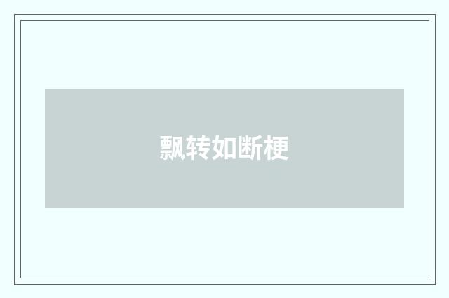 飘转如断梗