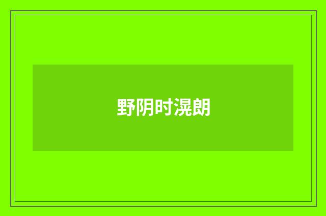 野阴时滉朗