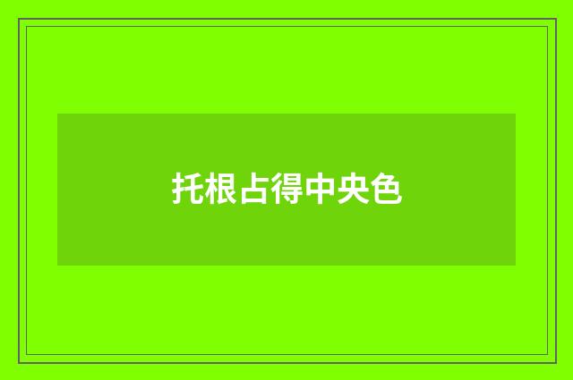 托根占得中央色