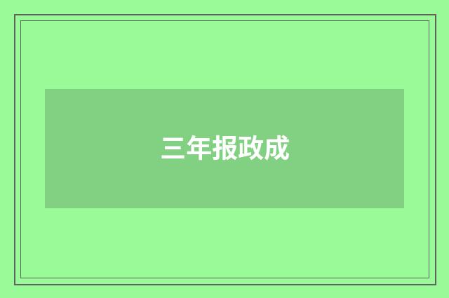 三年报政成