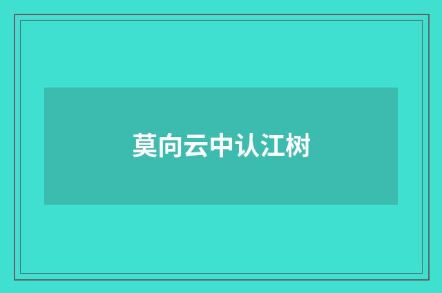 莫向云中认江树