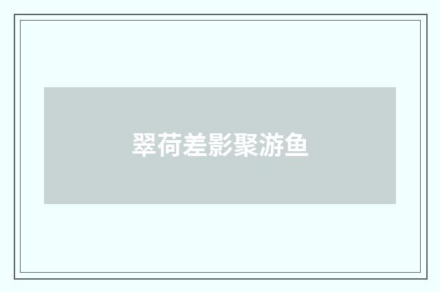 翠荷差影聚游鱼