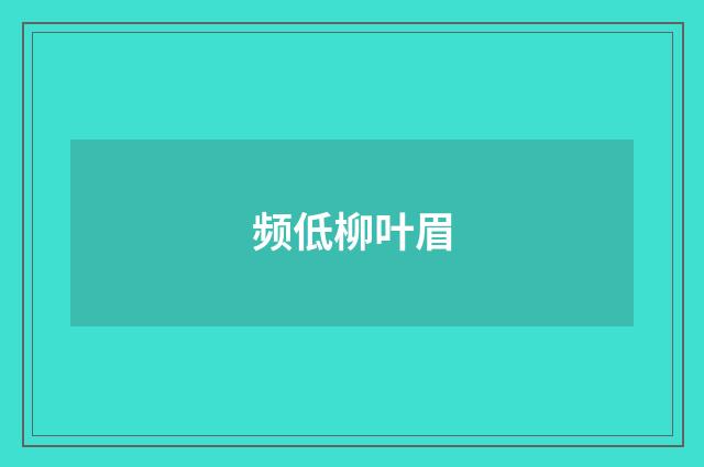 频低柳叶眉
