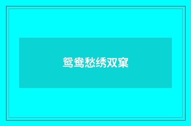 鸳鸯愁绣双窠