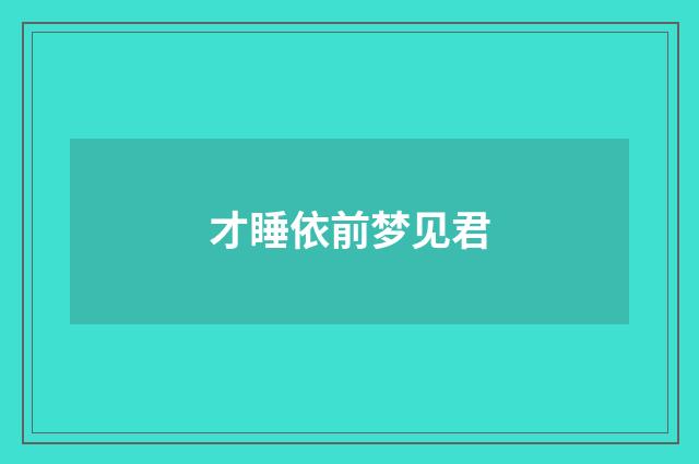 才睡依前梦见君