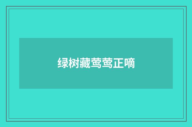 绿树藏莺莺正嘀