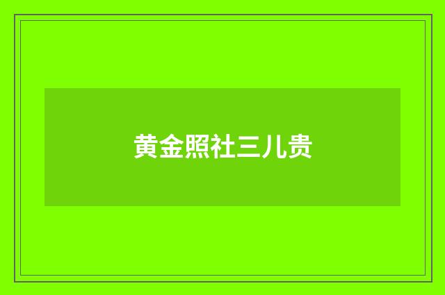 黄金照社三儿贵