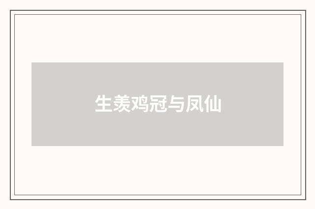 生羡鸡冠与凤仙