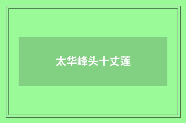 太华峰头十丈莲