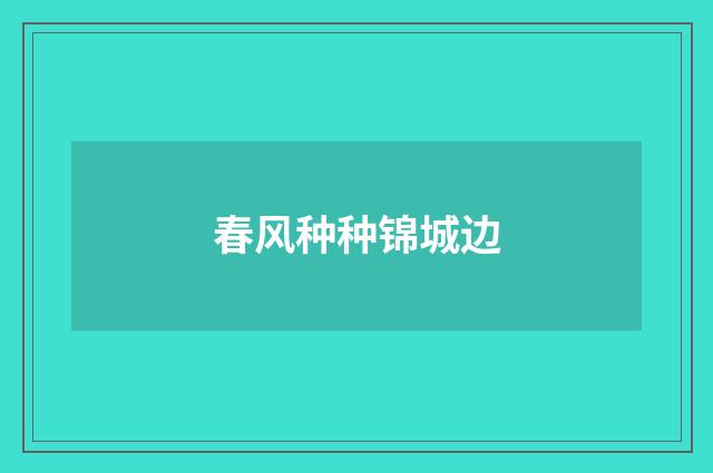 春风种种锦城边