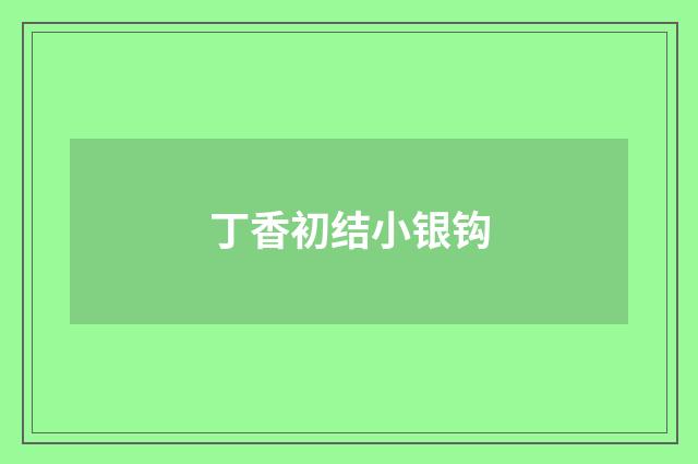 丁香初结小银钩