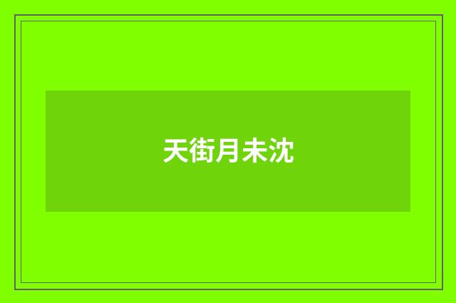 天街月未沈