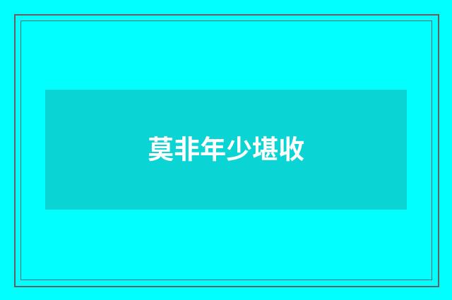 莫非年少堪收