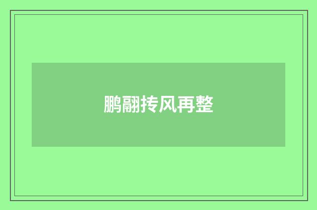 鹏翮抟风再整