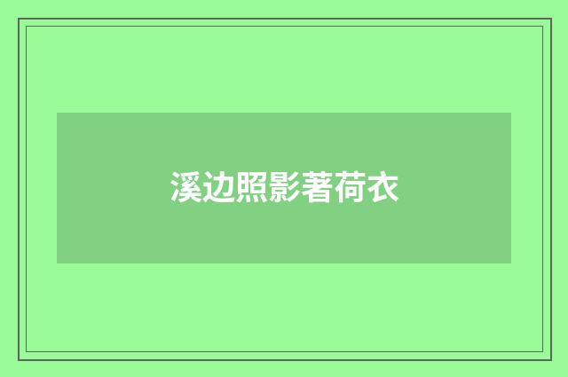 溪边照影著荷衣