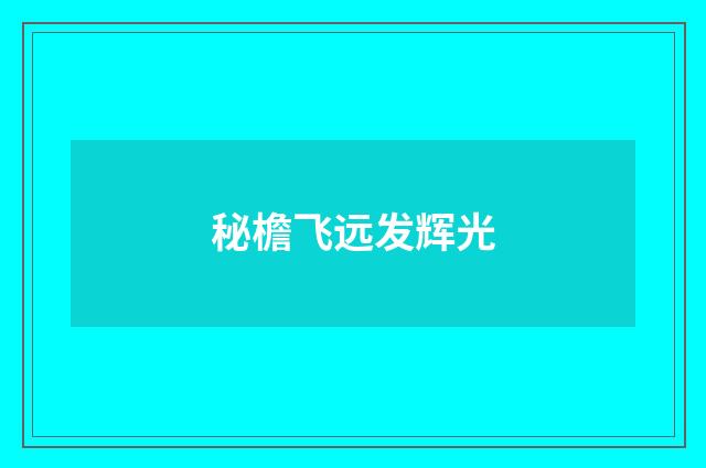 秘檐飞远发辉光