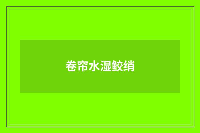 卷帘水湿鲛绡