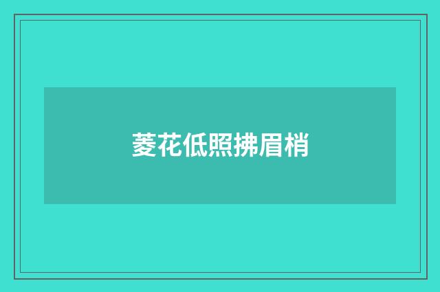 菱花低照拂眉梢