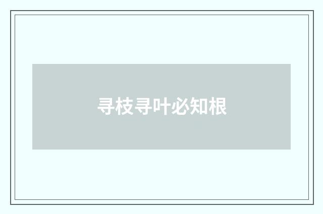 寻枝寻叶必知根