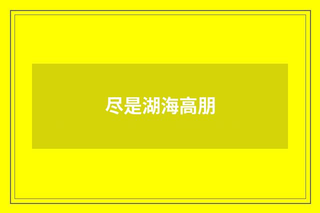 尽是湖海高朋