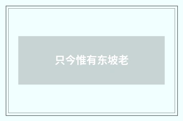 只今惟有东坡老