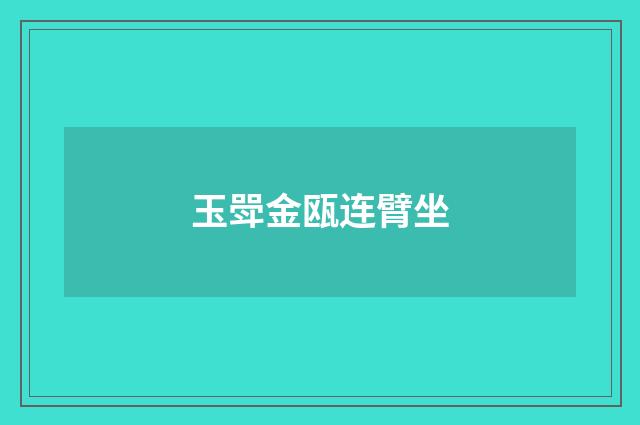 玉斝金瓯连臂坐