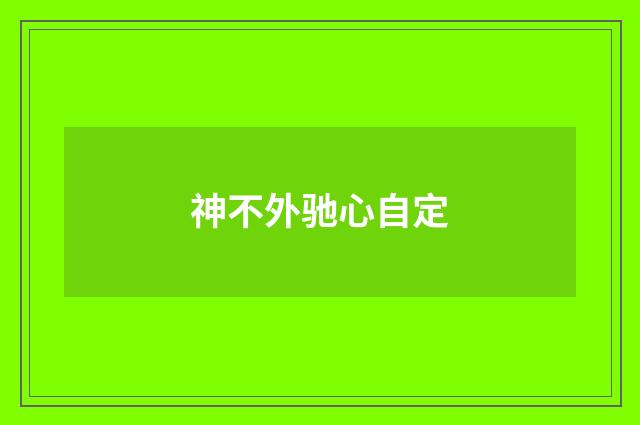 神不外驰心自定