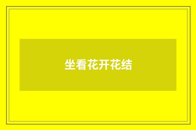 坐看花开花结