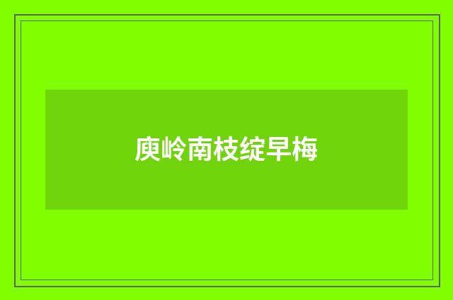 庾岭南枝绽早梅