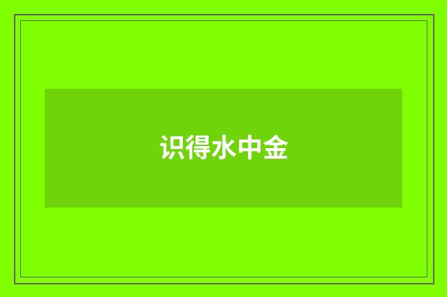 识得水中金