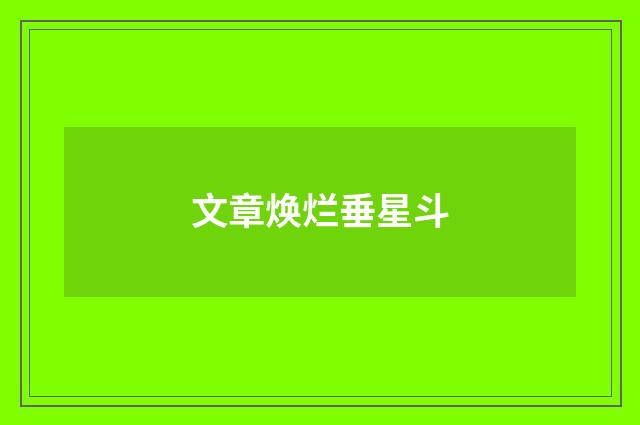 文章焕烂垂星斗