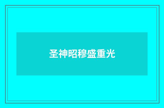 圣神昭穆盛重光