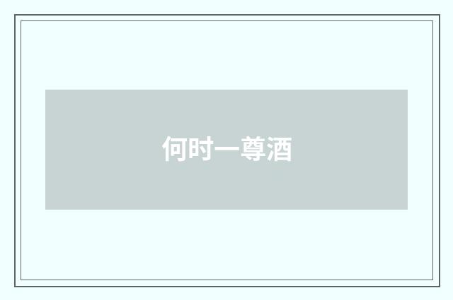 何时一尊酒