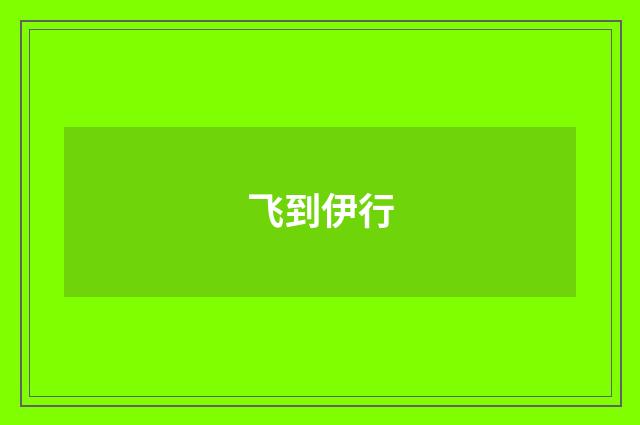 飞到伊行