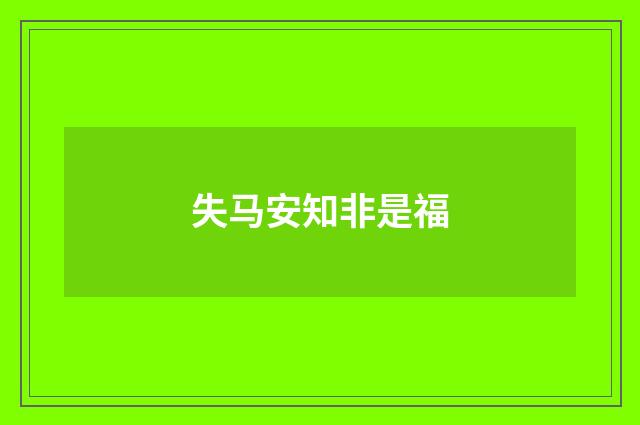 失马安知非是福