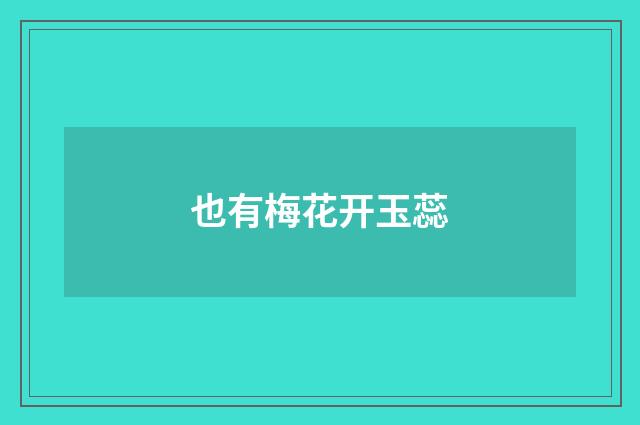 也有梅花开玉蕊