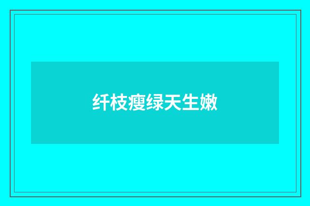 纤枝瘦绿天生嫩