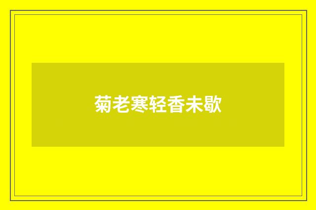 菊老寒轻香未歇