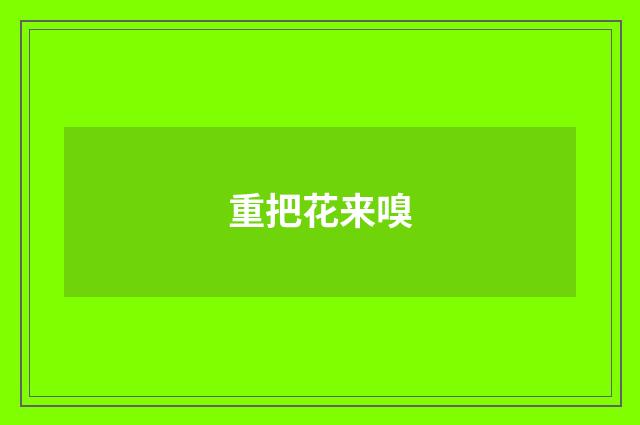 重把花来嗅