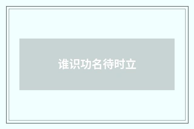 谁识功名待时立