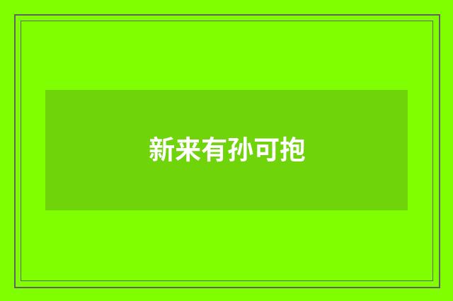 新来有孙可抱
