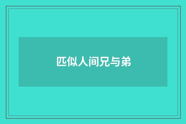 匹似人间兄与弟