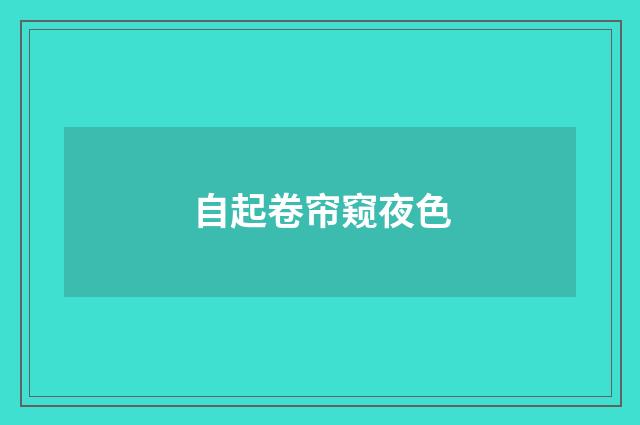 自起卷帘窥夜色