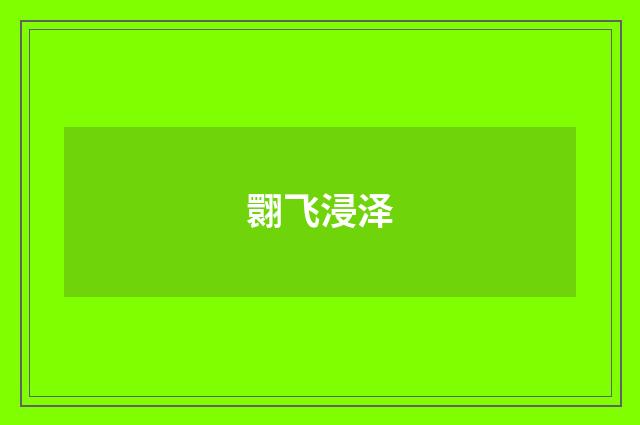 翾飞浸泽