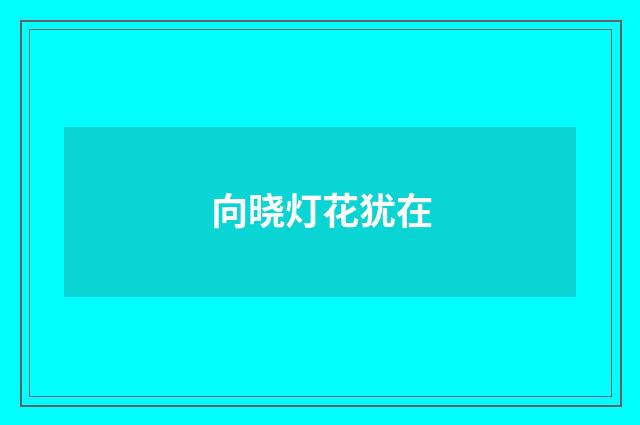 向晓灯花犹在