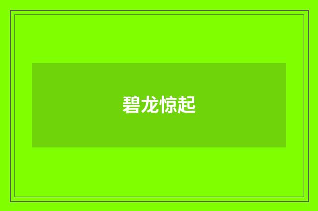 碧龙惊起