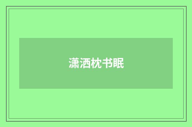 潇洒枕书眠