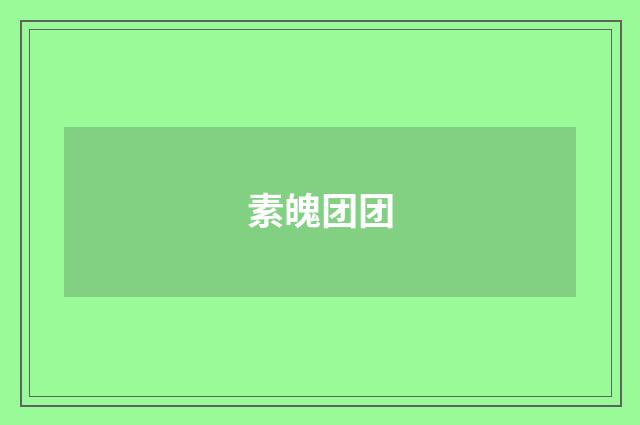 素魄团团