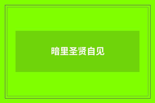 暗里圣贤自见