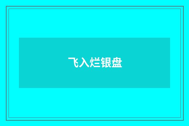 飞入烂银盘